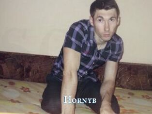 Hornyb