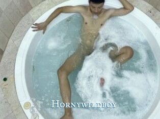 Hornywildboy