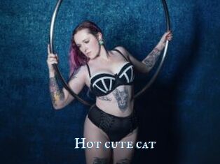 Hot_cute_cat