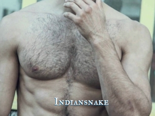 Indiansnake