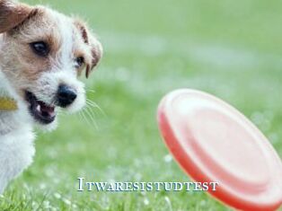 Itwaresistudtest