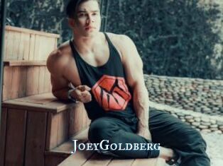 JoeyGoldberg