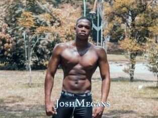 JoshMegans
