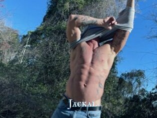 Jackal