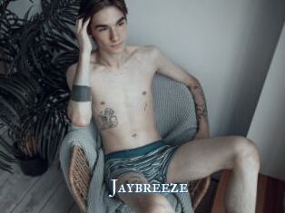 Jaybreeze