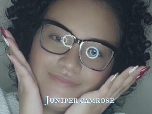Juniper_camrose
