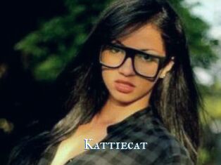 Kattiecat
