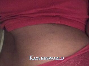 Kayseesworld