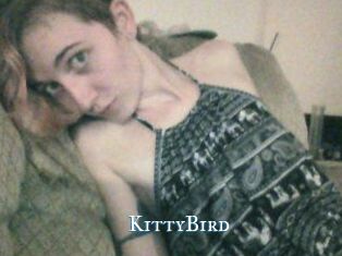KittyBird