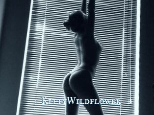 KittyWildflower