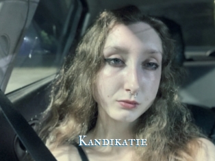 Kandikatie
