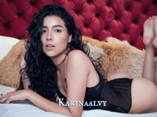 Karinaalvy