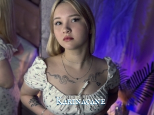 Karinacane