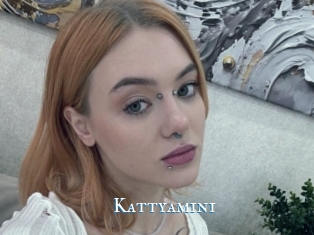 Kattyamini