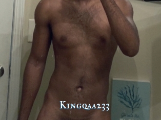 Kingqaa233