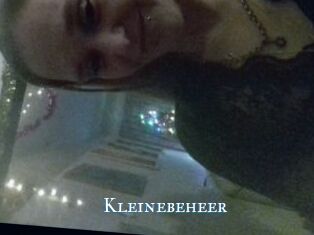 Kleinebeheer