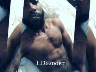 LDgadget