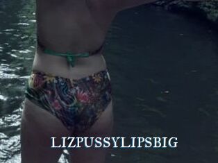LIZPUSSYLIPSBIG