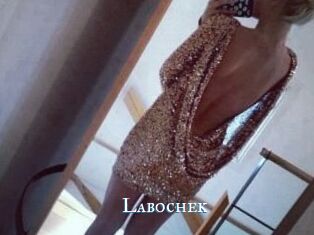 Labochek