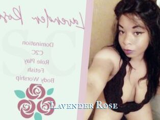 Lavender_Rose