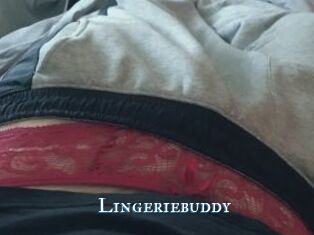 Lingeriebuddy