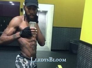 Lledys_Bloom