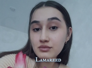 Lamareed