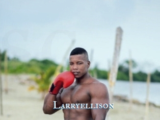 Larryellison