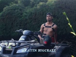 Latin_bigcrazy