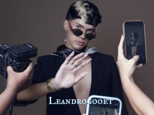 Leandrogooet