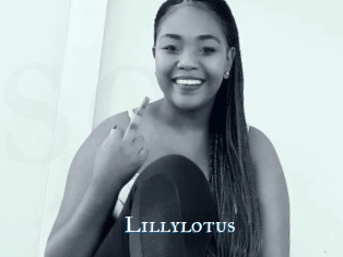 Lillylotus