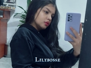 Lilybosse