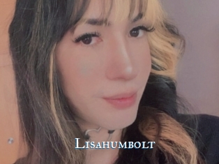 Lisahumbolt