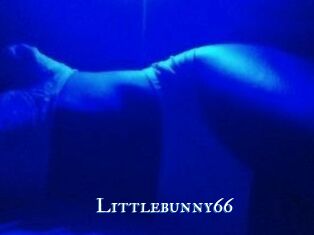 Littlebunny66