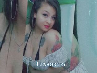 Lizhorney