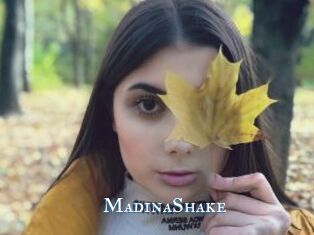 MadinaShake