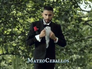 MateoCeballos