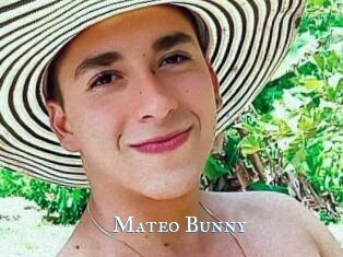Mateo_Bunny