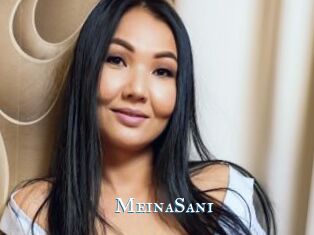 MeinaSani