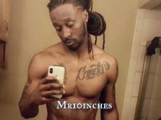Mr10inches
