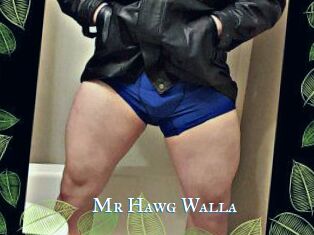 Mr_Hawg_Walla