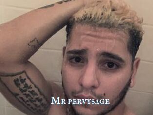 Mr_pervysage