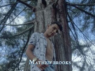 Mathew_brooks