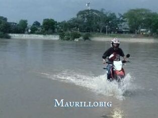 Maurillobig