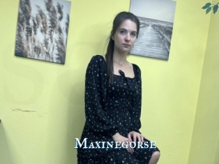 Maxinegorse