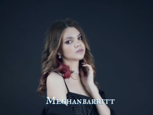 Meghanbarritt