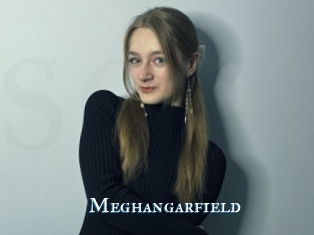 Meghangarfield
