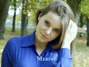 Merino