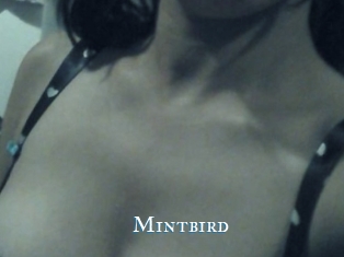 Mintbird