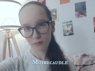 Moirecaudle